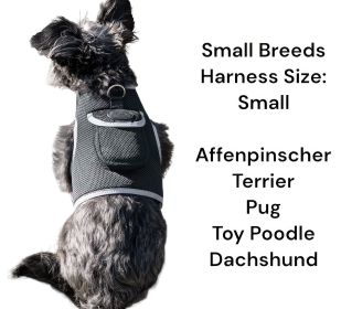 Best Pet Tracking Device Pet Tracker Portable Dog Collar with GPS System Size:S